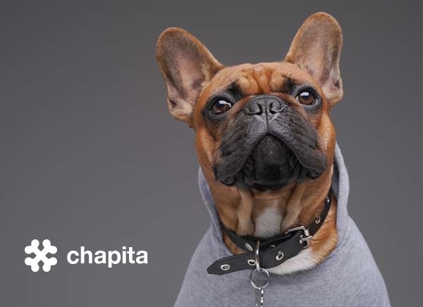 Chapitas para perros